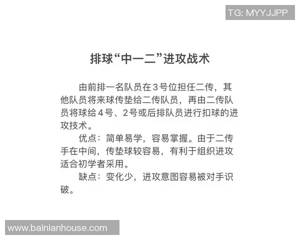 排球新手必看:快速掌握技巧与战术的全面入门指南