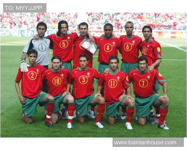 阿宗利足球明星的传奇之路与未来展望解析