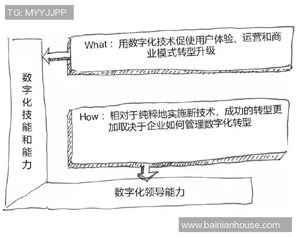 深入分析成都篮球队整体压制战术的优势与实施策略