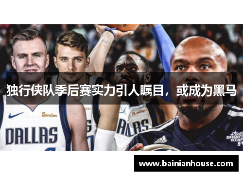 独行侠队季后赛实力引人瞩目，或成为黑马