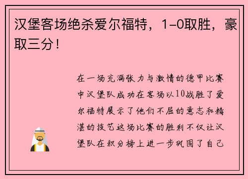 汉堡客场绝杀爱尔福特，1-0取胜，豪取三分！