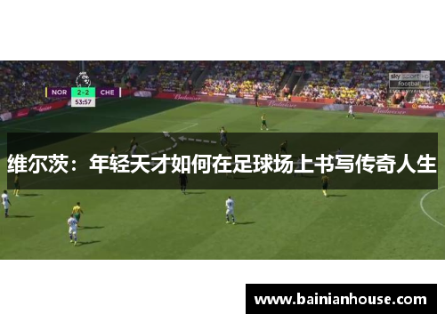 维尔茨：年轻天才如何在足球场上书写传奇人生